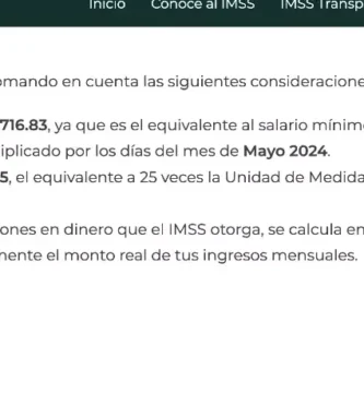 Inscripción Voluntaria IMSS: Requisitos, Beneficios Y Cómo Hacerlo