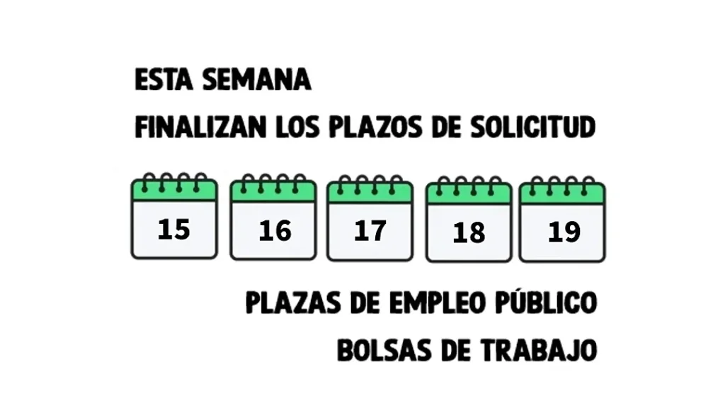 Período De Inscripción SAE: Plazos, Fechas Y Requisitos