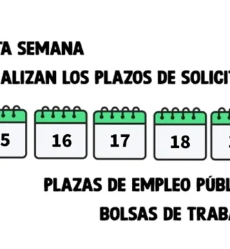 Período De Inscripción SAE: Plazos, Fechas Y Requisitos