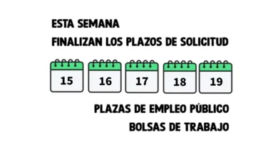Período De Inscripción SAE: Plazos, Fechas Y Requisitos