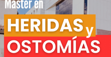 Plazo De Inscripción En Universidades De Cataluña 2024-: Fechas Y Requisitos