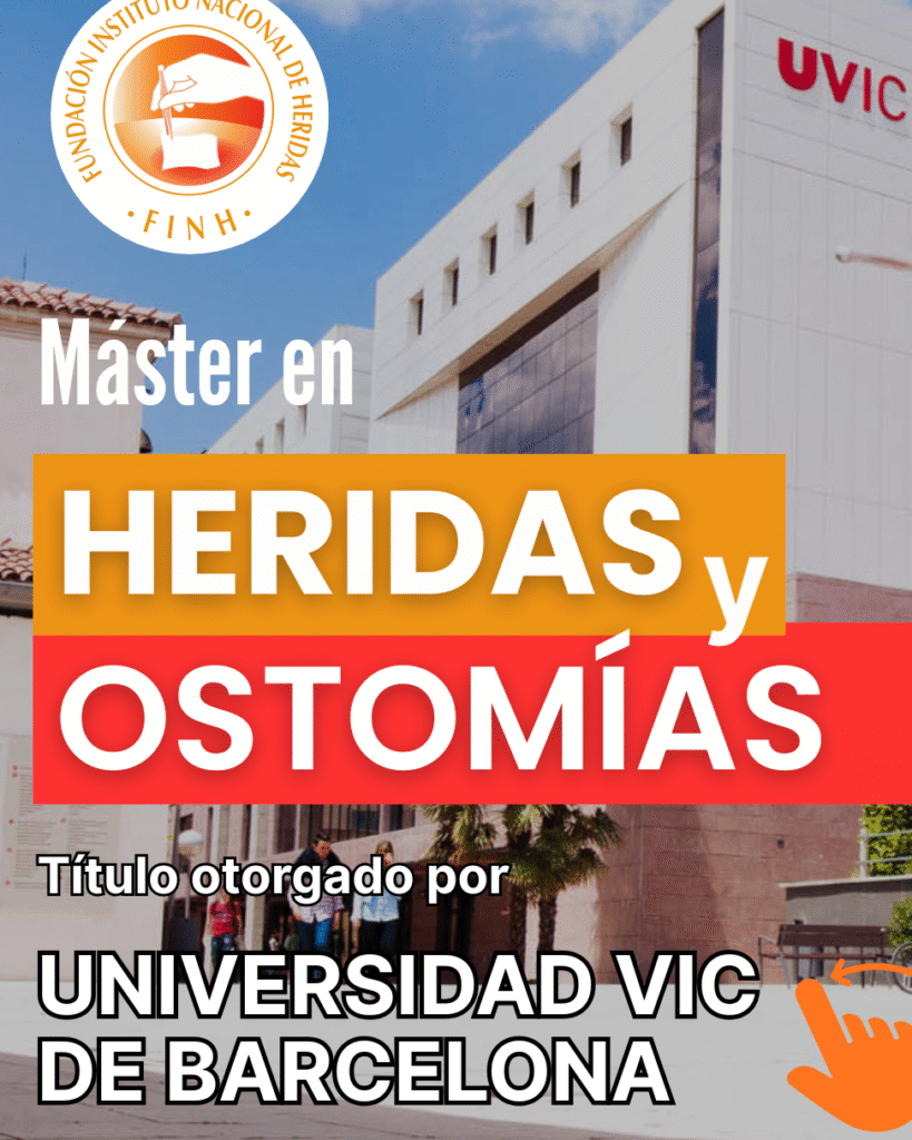 Plazo De Inscripción En Universidades De Cataluña 2024-: Fechas Y Requisitos