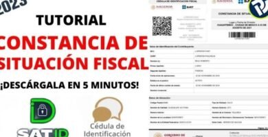 Cómo Inscribirse Al RFC En México: Guía Rápida Y Requisitos