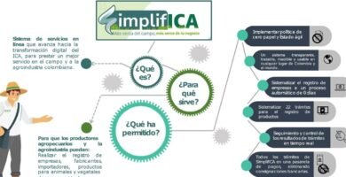 Cómo Inscribirse En El Registro De Productores: Guía Y Requisitos