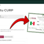 Cómo Inscribirte En Becas BBVA: Guía Y Requisitos