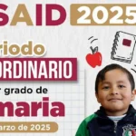 Inscripción A Primarias En El Estado De México: Requisitos Y Fechas