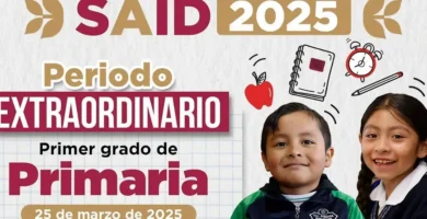 Inscripción A Primarias En El Estado De México: Requisitos Y Fechas