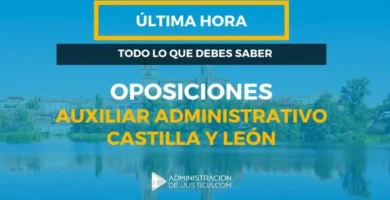 Inscripción En Las Bolsas De Empleo JCYL: Guía Y Requisitos Castilla Y León