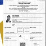 Inscripción Y Boleta En El Registro Público: Pasos Y Requisitos