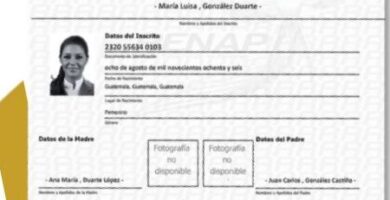 Inscripción Y Boleta En El Registro Público: Pasos Y Requisitos